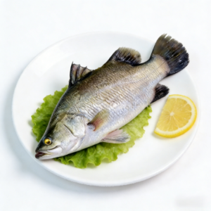 Frozen barramundi produced by EU approved seafood factory in China