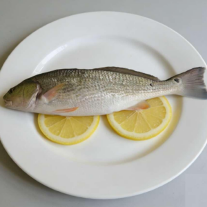 Red drum fish processed by EU approved factory in China