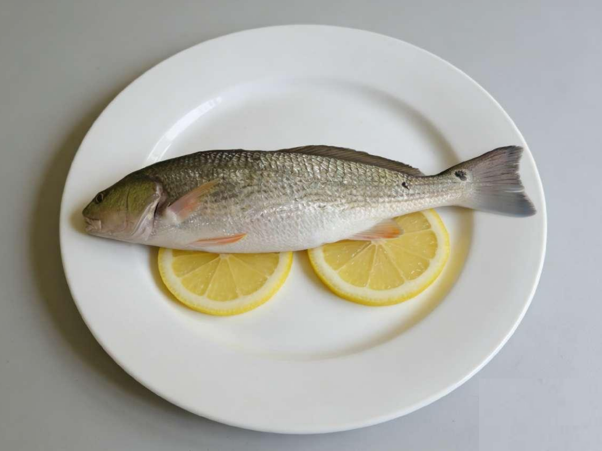 Red drum fish processed by EU approved factory in China