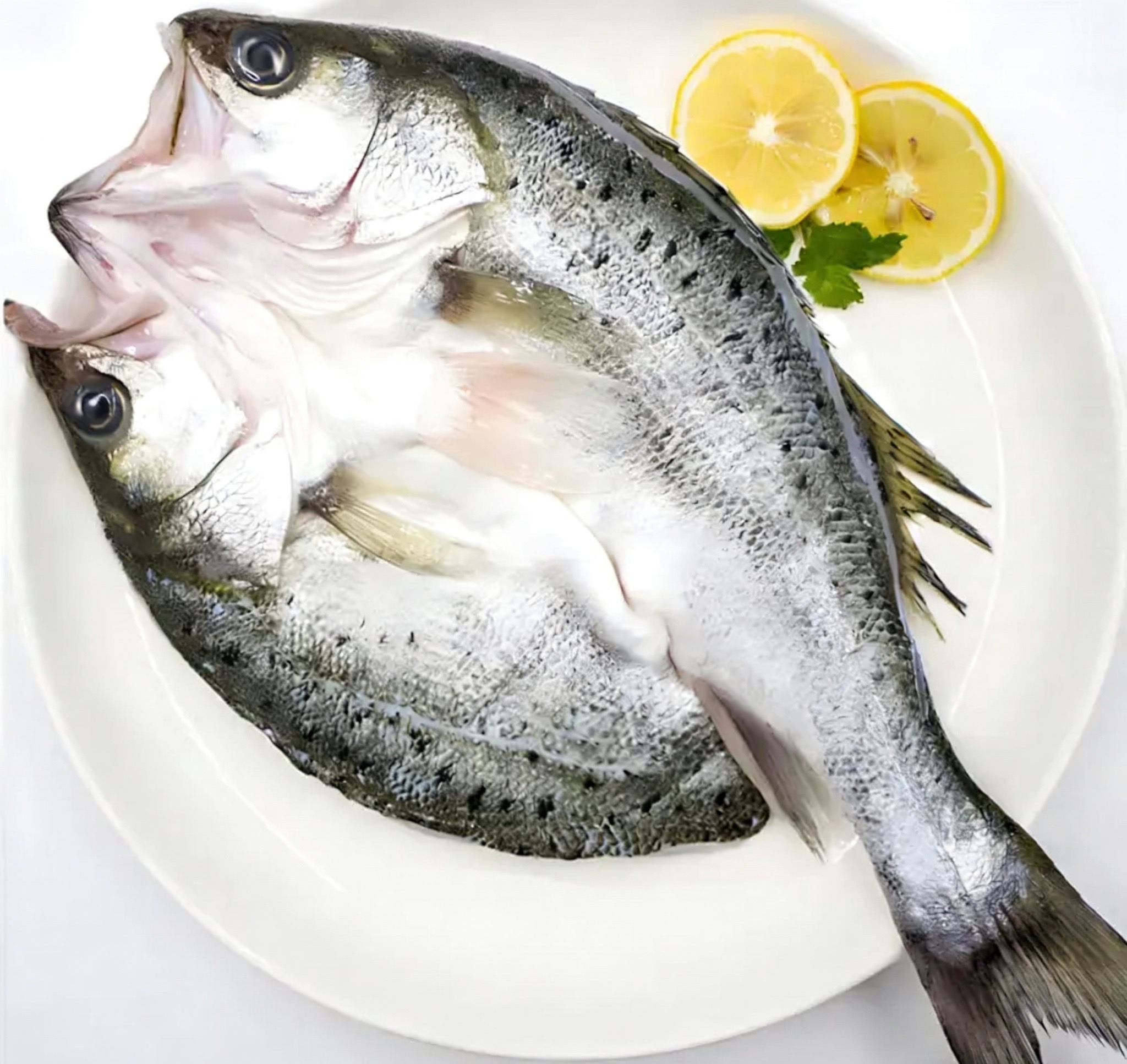 Butterfly seabass from China seafood factory